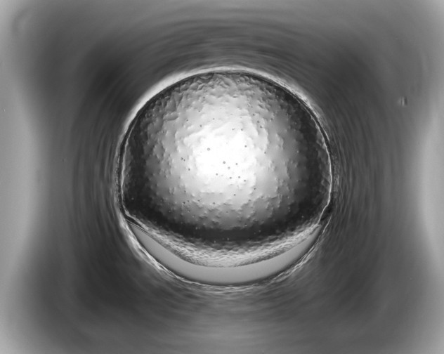 X0000085071534200703191250