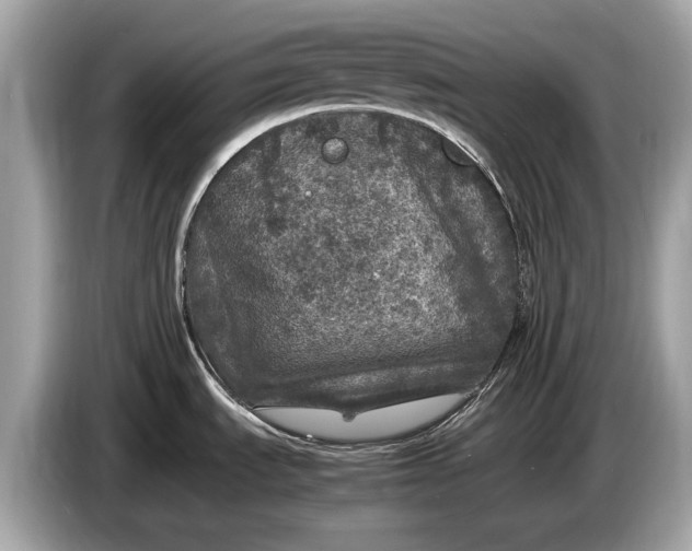 X0000085071535200703191250