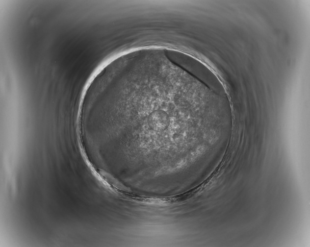 X0000085071536200703191250