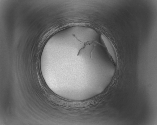 X0000085070001200703261244