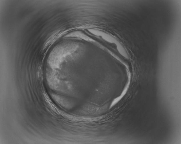 X0000085070002200703261244