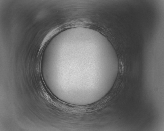 X0000085070004200703261244