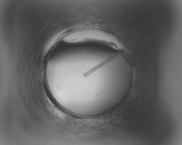 X0000085070005200703261244