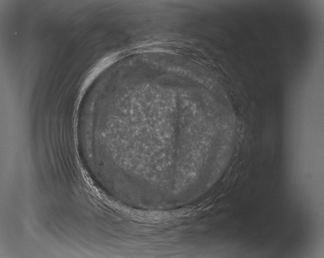 X0000085070006200703261244