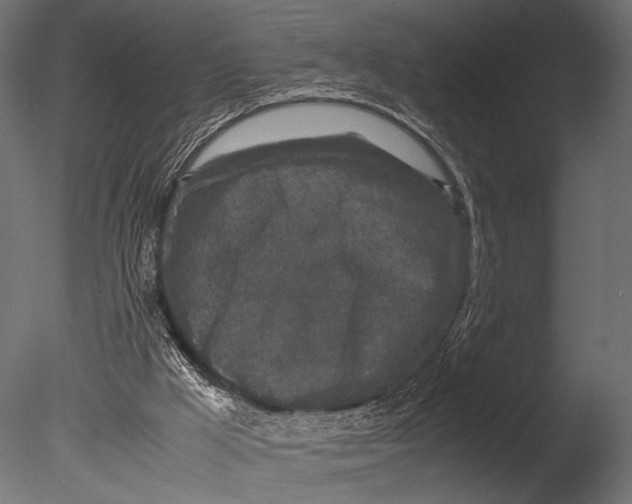 X0000085070009200703261244