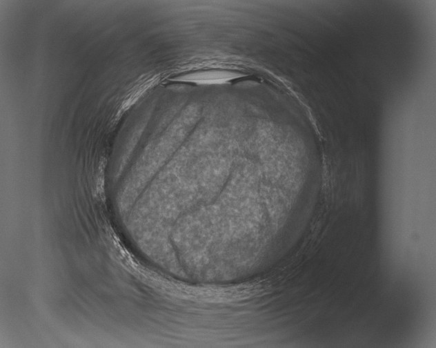 X0000085070010200703261244