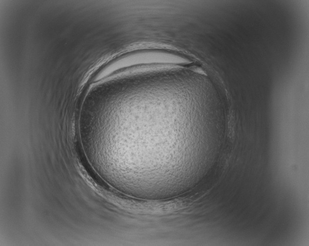 X0000085070015200703261244