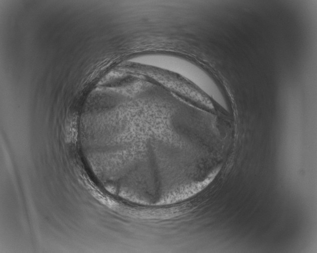 X0000085070017200703261244