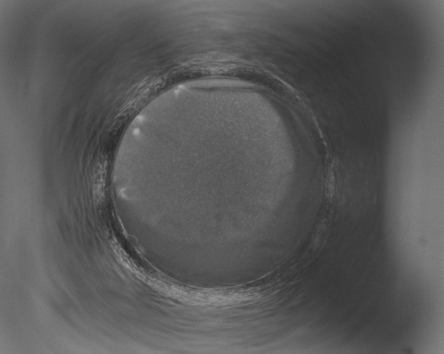 X0000085070018200703261243