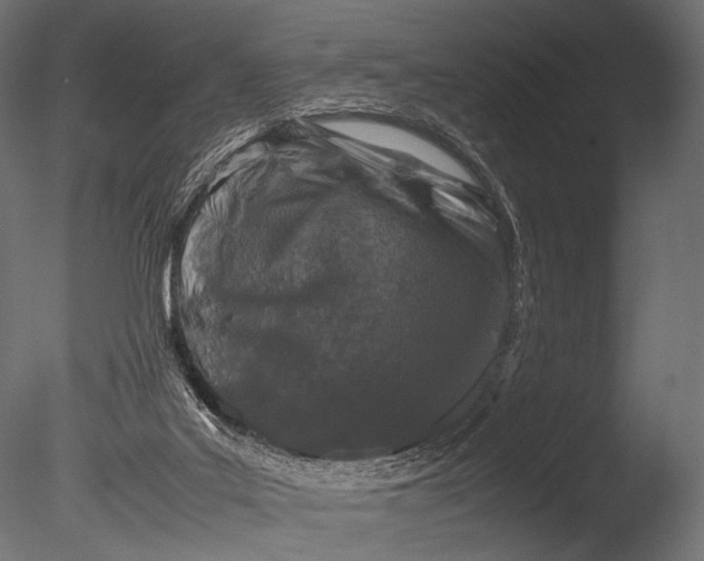 X0000085070019200703261243