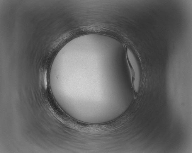 X0000085070020200703261243