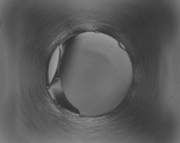 X0000085070023200703261243