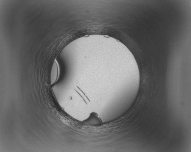 X0000085070025200703261243