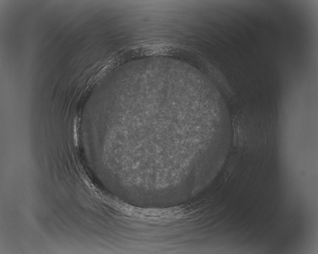 X0000085070026200703261243