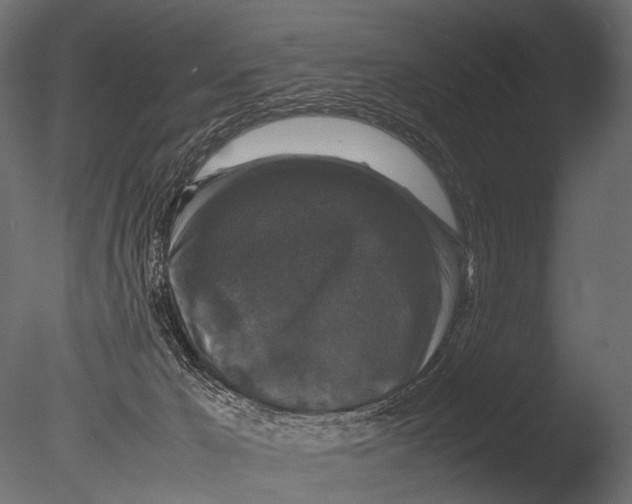 X0000085070029200703261243