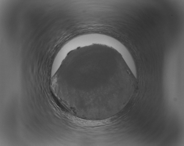 X0000085070031200703261243