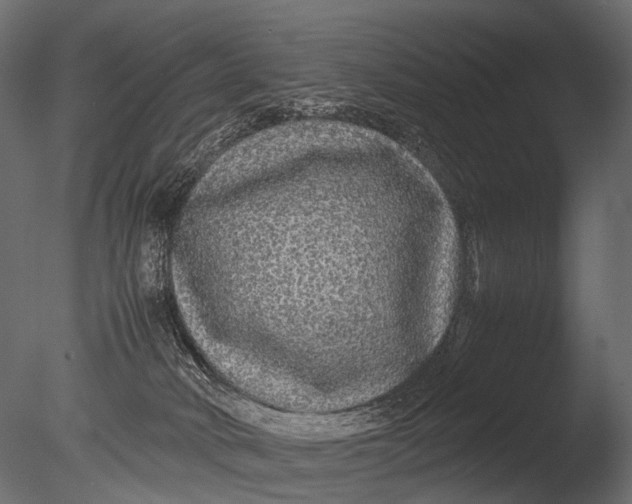 X0000085070034200703261243