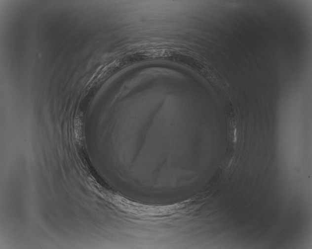 X0000085070035200703261243