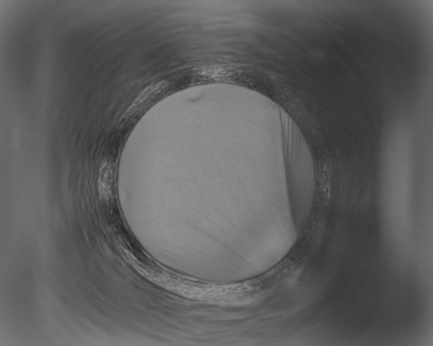 X0000085070036200703261243