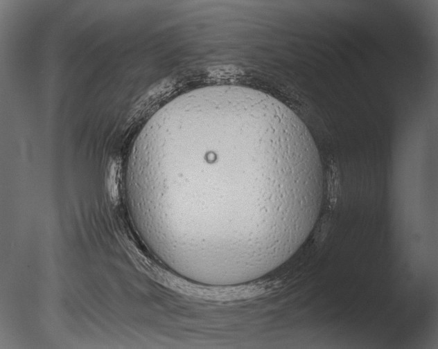 X0000085070038200703261243