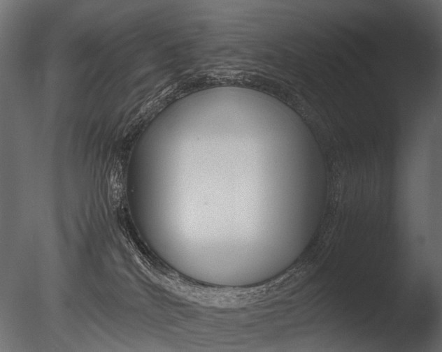 X0000085070040200703261243