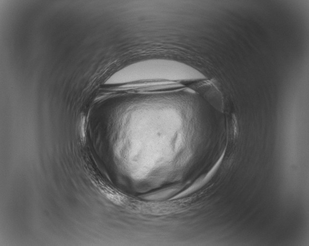 X0000085070041200703261243