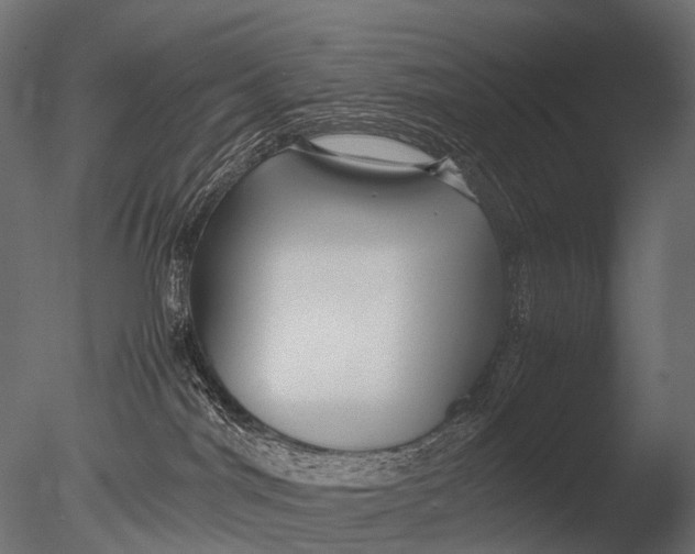 X0000085070044200703261243