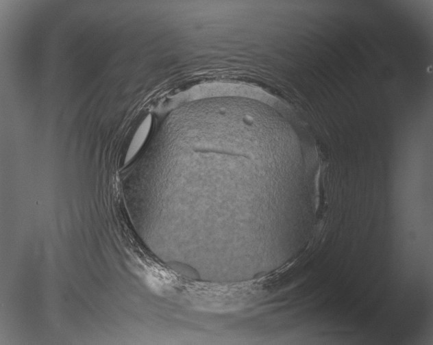 X0000085070045200703261243