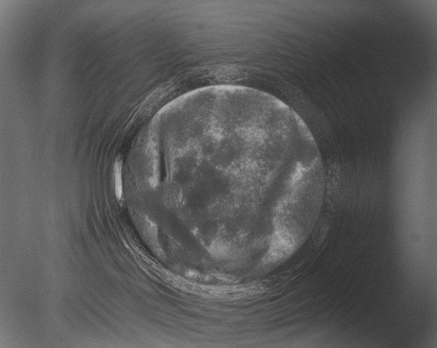 X0000085070046200703261243