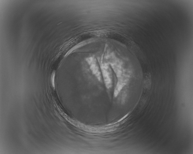 X0000085070047200703261243