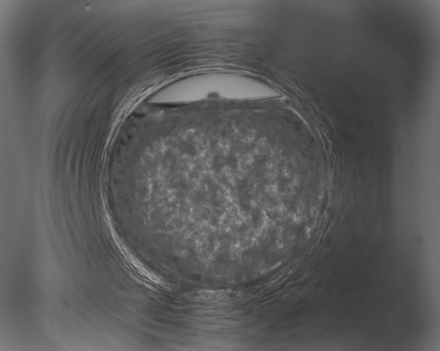 X0000085070049200703261242