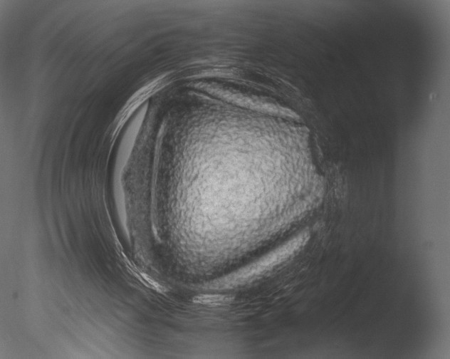 X0000085070051200703261242