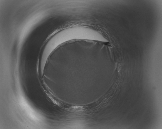 X0000085070052200703261242