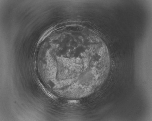 X0000085070053200703261242