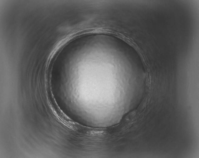 X0000085070055200703261242