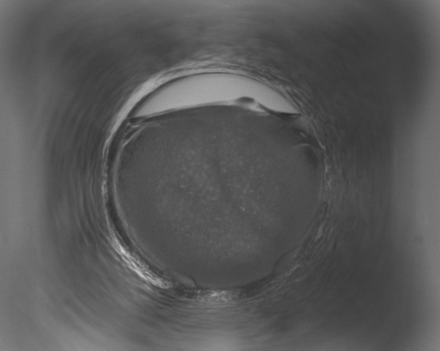 X0000085070056200703261242