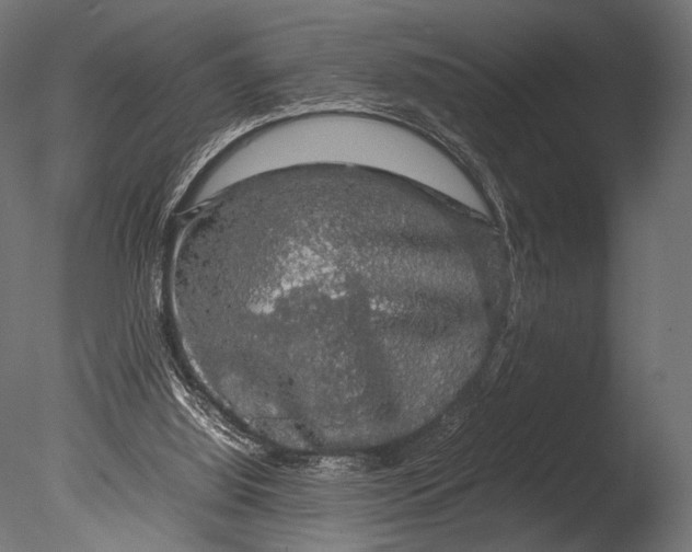 X0000085070060200703261242