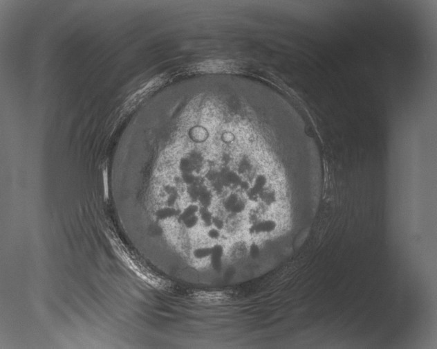 X0000085070061200703261242