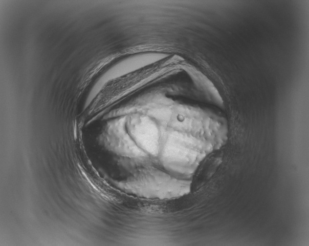 X0000085070062200703261242