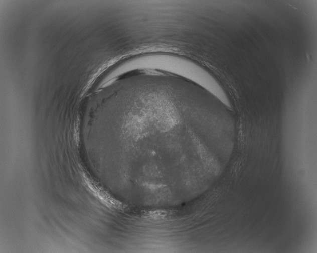 X0000085070064200703261242