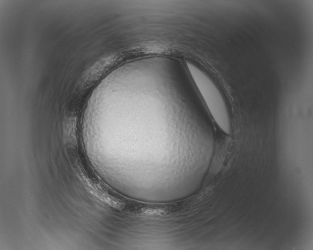 X0000085070066200703261242