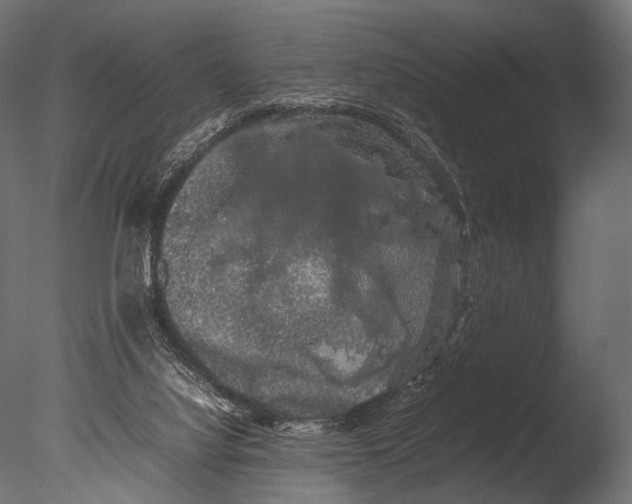 X0000085070068200703261242