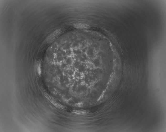 X0000085070069200703261242