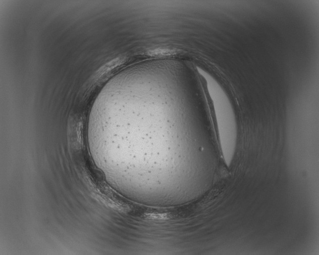 X0000085070071200703261242