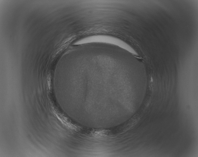 X0000085070072200703261243