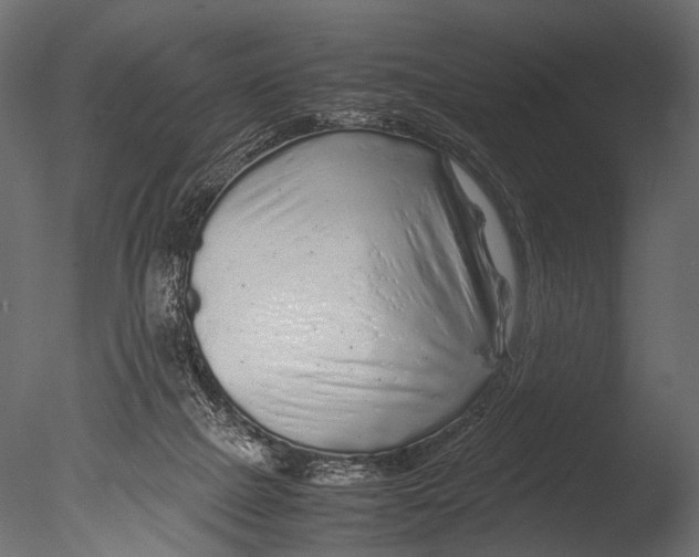 X0000085070073200703261243