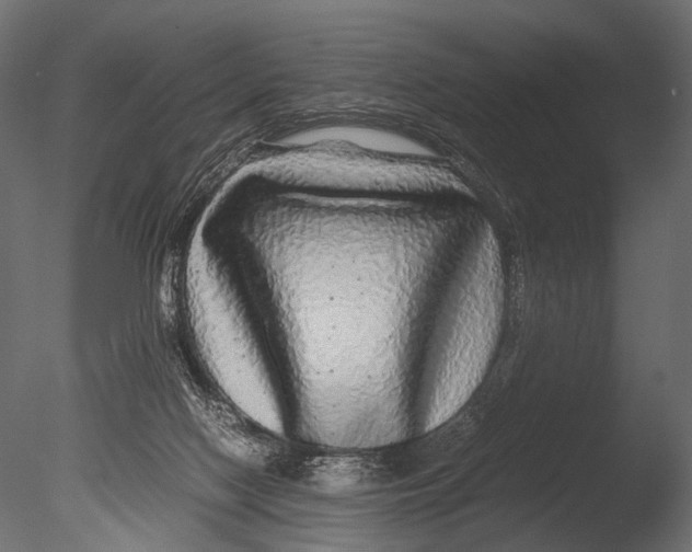 X0000085070074200703261243