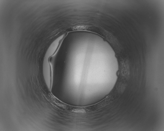 X0000085070075200703261243