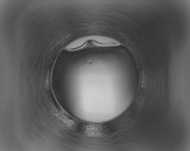 X0000085070077200703261243