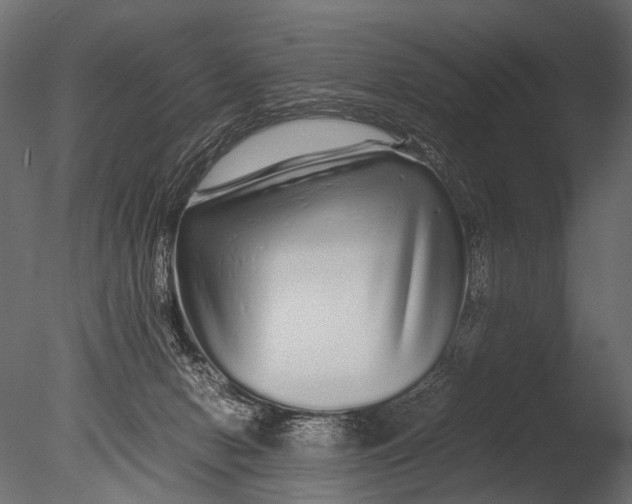 X0000085070078200703261243